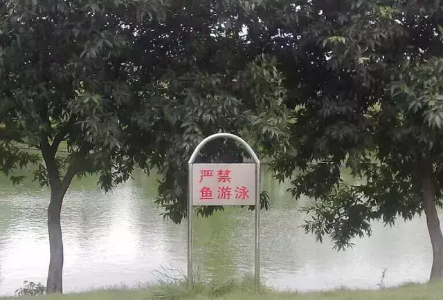 這一些沙雕標牌廣告標語，讓我站路邊笑了半天停不下來23