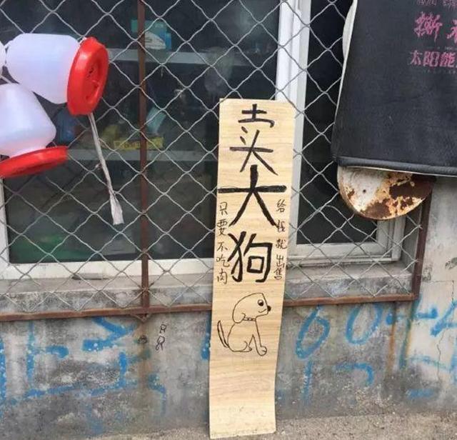 中國街道廣告牌燈箱有多野？看看這些讓人笑掉大牙的牌子名20